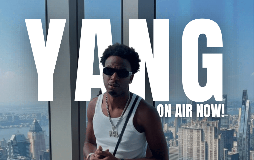 YANG – IL GIOVANE CITTADINO DI&nbsp;GOTHAM